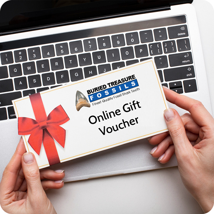 Online Gift Voucher