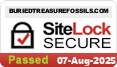 Site Protected